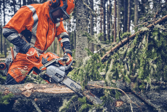 Fotografija izdelka Verižna motorna žaga Husqvarna 562 XP (18") Mark II