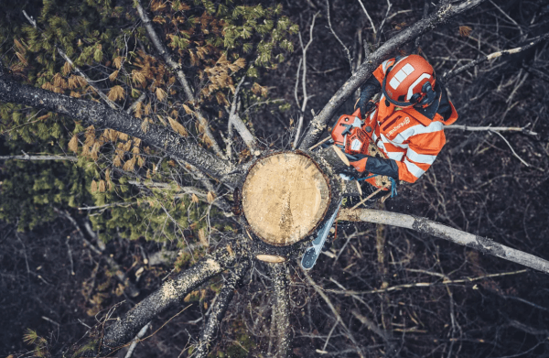 Fotografija izdelka Verižna motorna žaga Husqvarna 562 XP (18") Mark II