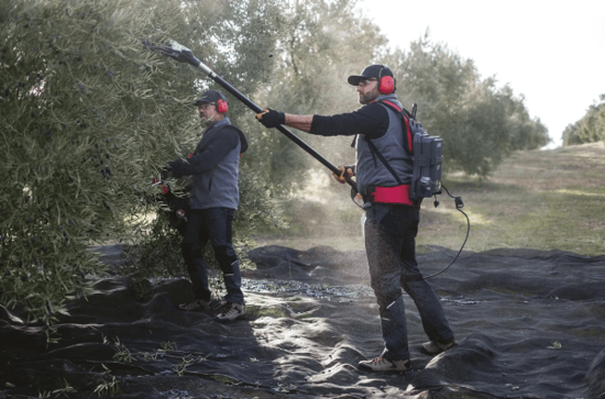 Fotografija izdelka Grabljice Karbonium PRO AL-200 ZANON, brez baterije