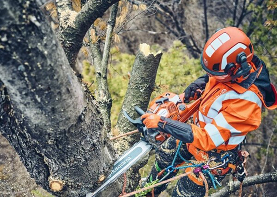 Fotografija izdelka Verižna motorna žaga Husqvarna 560 XP MARK II (18˝)