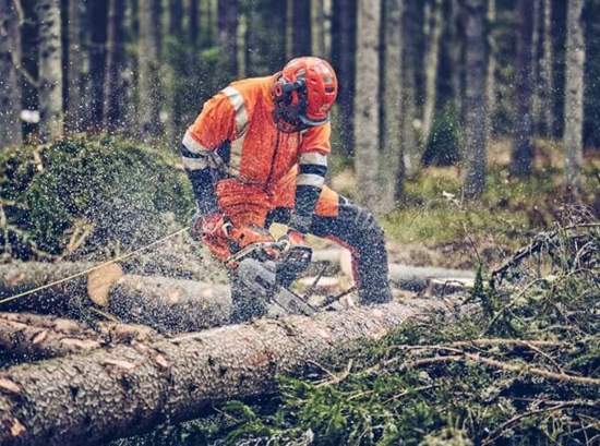 Fotografija izdelka Verižna motorna žaga Husqvarna 560 XP MARK II (18˝)