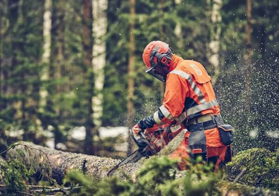 Fotografija izdelka Verižna motorna žaga Husqvarna 560 XP MARK II (18˝)