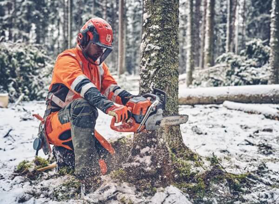 Fotografija izdelka Verižna motorna žaga Husqvarna 560 XP MARK II (18˝)