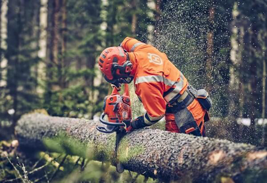 Fotografija izdelka Verižna motorna žaga Husqvarna 560 XP MARK II (18˝)