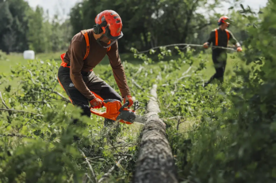 Fotografija izdelka Akumulatorska verižna žaga Husqvarna 435Ii (14'')