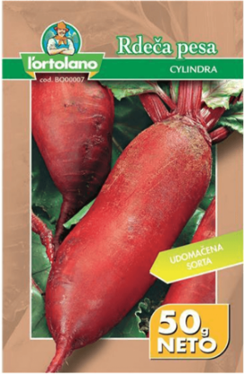 Fotografija izdelka Semena Rdeča pesa Cylindra, 50 g