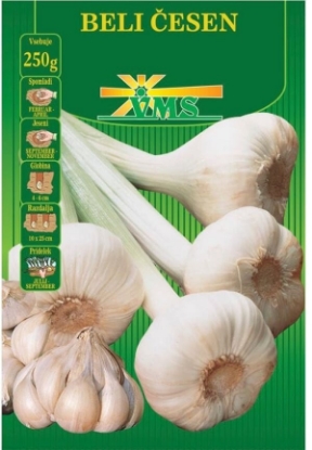 Fotografija izdelka Česen semenski BELI, 250 g