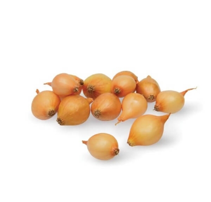 Fotografija izdelka Čebulček Holandski rumeni, 100 kos