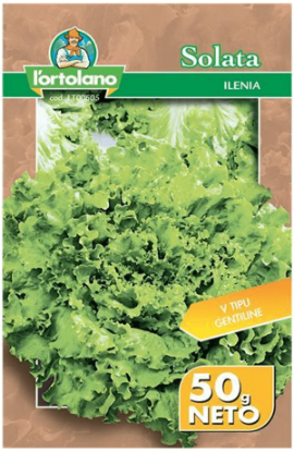 Fotografija izdelka Semena Solata Ilenia, 50 g