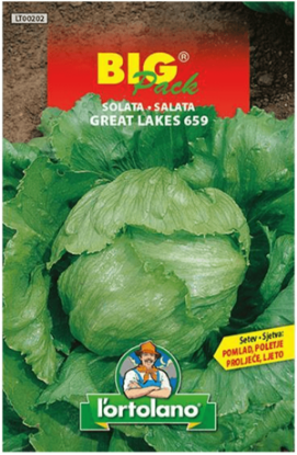 Prikaži podrobnosti za  Semena Solata GREAT LAKES 659, 50 g Fotografija izdelka Semena Solata GREAT LAKES 659, 50 g