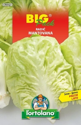 Fotografija izdelka Semena Radič Mantovana 50 g