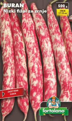 Fotografija izdelka Semena Fižol Buran nizki 500 g