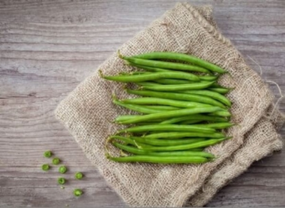 Fotografija izdelka Semena Fižol FURORE nizki 250 g