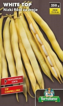 Fotografija izdelka Semena Fižol WHITE TOP nizki 250 g