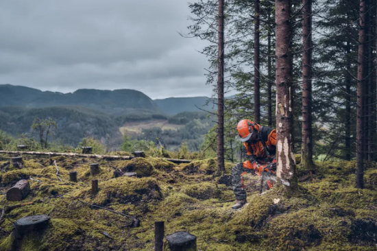 Fotografija izdelka Verižna motorna žaga Husqvarna 540XP MARK  III (16'')