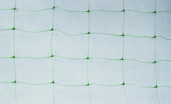 Fotografija izdelka Mreža za grah 2x10m 