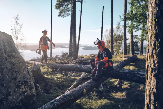 Fotografija izdelka Gozdarska čelada TECHNICAL Husqvarna