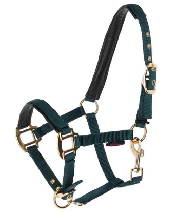 Prikaži podrobnosti za  Ovratnica za žrebe, KERBL drevesno zelena Fotografija izdelka Ovratnica za žrebe, KERBL drevesno zelena