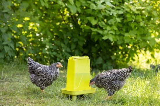 Fotografija izdelka Napajalnik za perutnino 3,5 L PVC
