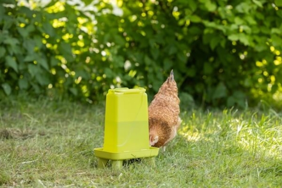 Fotografija izdelka Napajalnik za perutnino 3,5 L PVC