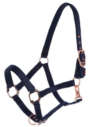 Fotografija izdelka Oglavka za ponije