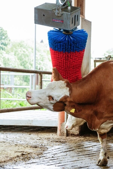 Fotografija izdelka Električna krtača za govedo HAPPYCOW SWING Maxi