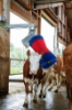 Fotografija izdelka Električna krtača za govedo HAPPYCOW SWING Maxi