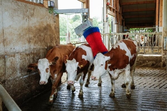 Fotografija izdelka Električna krtača za govedo HAPPYCOW SWING Maxi