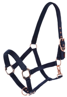 Prikaži podrobnosti za  Oglavka za Pony Navy Fotografija izdelka Oglavka za Pony Navy