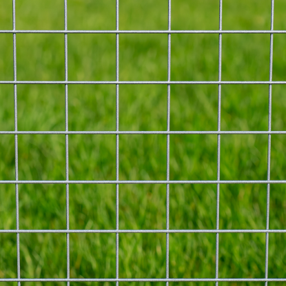 pocinkana mreža, kvadratna mreža 13 mm, mreža za ograjo, mreža za vrt, mreža za zaščito rastlin, žična mreža pocinkana, mreža za kletke, mreža proti živalim, kovinska mreža, mreža za vrtno uporabo