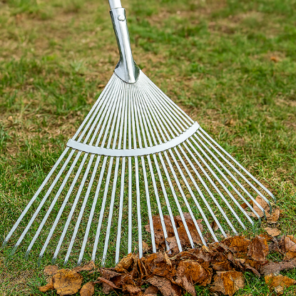 grablje za listje cinkane, nastavljive grablje, vrtno orodje za listje, grabljenje trave, pocinkane grablje