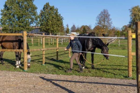 Fotografija izdelka Ročka za ograjo s TRAKOM 40 mm do 6 m AKO