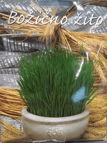 Fotografija izdelka Božično žito