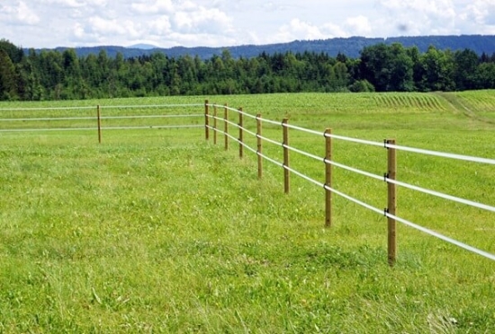 Fotografija izdelka Steber OctoWood (fi: 100 mm / dolžina 225 cm)