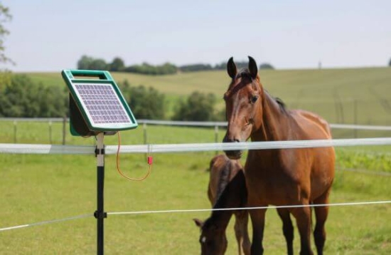 Fotografija izdelka Trak za pašne ograje  PlatinumLine, 400 m x 12,5 mm