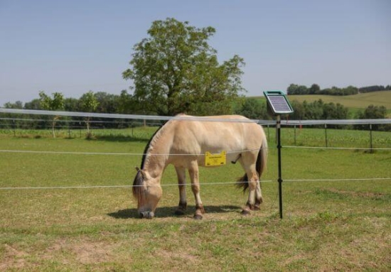 Fotografija izdelka Trak za pašne ograje  PlatinumLine, 400 m x 12,5 mm