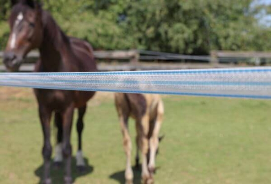 Fotografija izdelka Trak za pašne ograje  PlatinumLine, 400 m x 12,5 mm