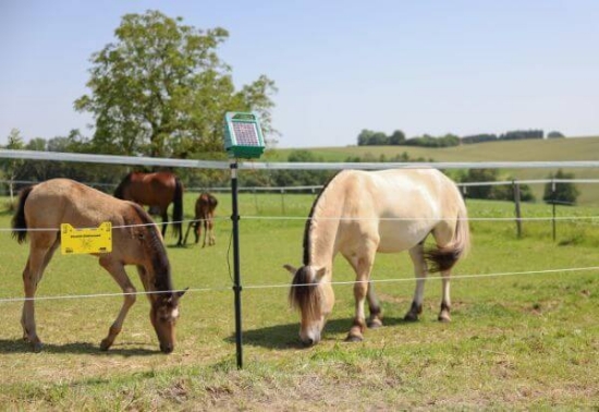 Fotografija izdelka Trak za pašne ograje  PlatinumLine, 200 m	x 40 mm