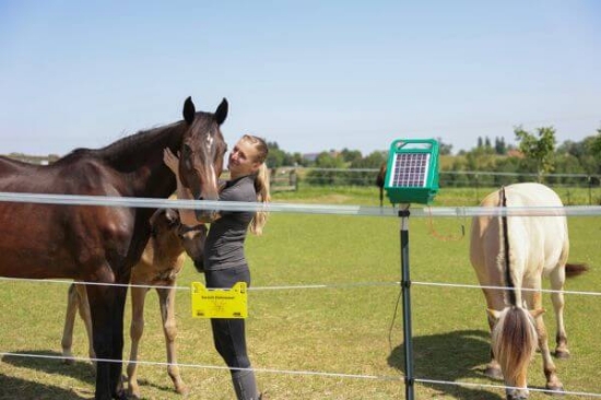Fotografija izdelka Trak za pašne ograje  PlatinumLine, 200 m	x 20 mm