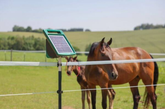 Fotografija izdelka Trak za pašne ograje  PlatinumLine, 200 m	x 20 mm