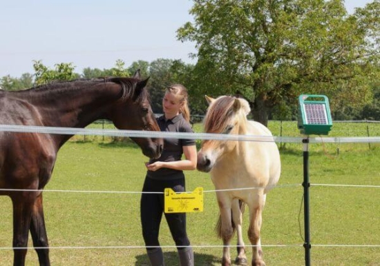 Fotografija izdelka Vrvica za pašne ograje PlatinumLine, 200 m x 6 mm