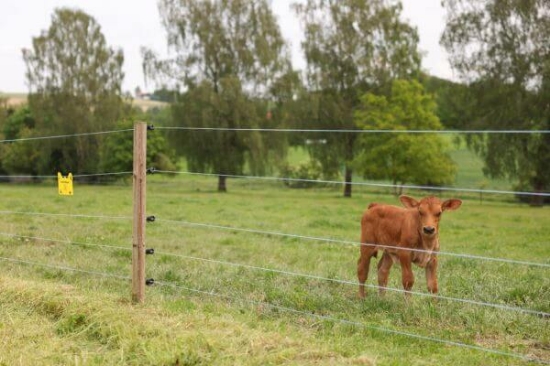 Fotografija izdelka Pletenica za pašne ograje PlatinumLine, 1000 m x 30 km
