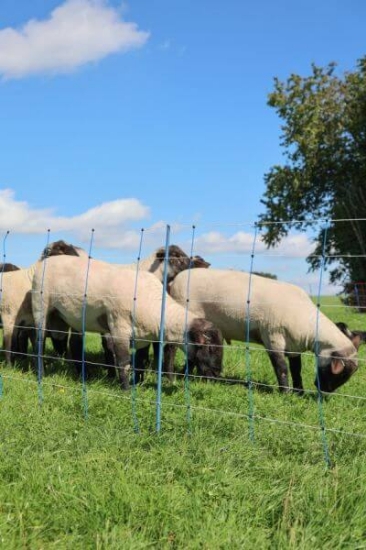 Fotografija izdelka Mreža za drobnico AKO TitanNet Premium Plus, dvojna konica, 180 cm x 50 m