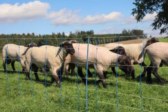 Fotografija izdelka Mreža za drobnico AKO TitanNet Premium Plus, dvojna konica, 180 cm x 50 m