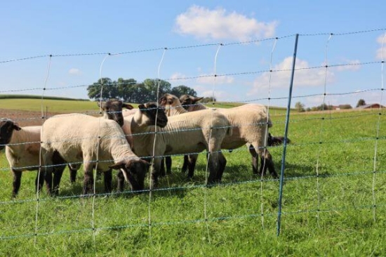 Fotografija izdelka Mreža za drobnico AKO TitanNet Premium Vario, dvojna konica, 122 cm x 50 m
