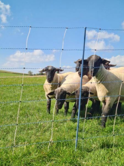 Fotografija izdelka Mreža za drobnico (122 cm x 50 m) AKO TitanNet Premium Vario, dvojna konica