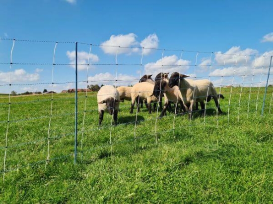 Fotografija izdelka Mreža za drobnico (122 cm x 50 m) AKO TitanNet Premium Vario, dvojna konica