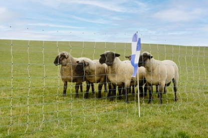 Fotografija izdelka Mreža za drobnico AKO OviNet Maxi, enojna konica, 122 cm x 50 m