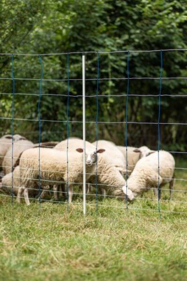 Fotografija izdelka Mreža za drobnico AKO TitanNet, dvojna konica, 145 cm x 25 m