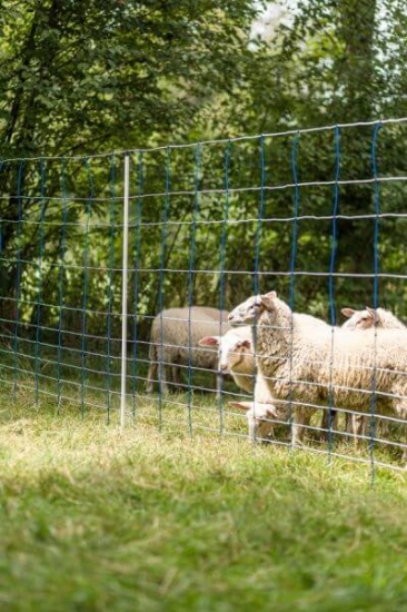 Fotografija izdelka Mreža za drobnico AKO TitanNet, dvojna konica, 145 cm x 25 m